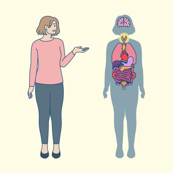 thyroid hormone affect every part of the body