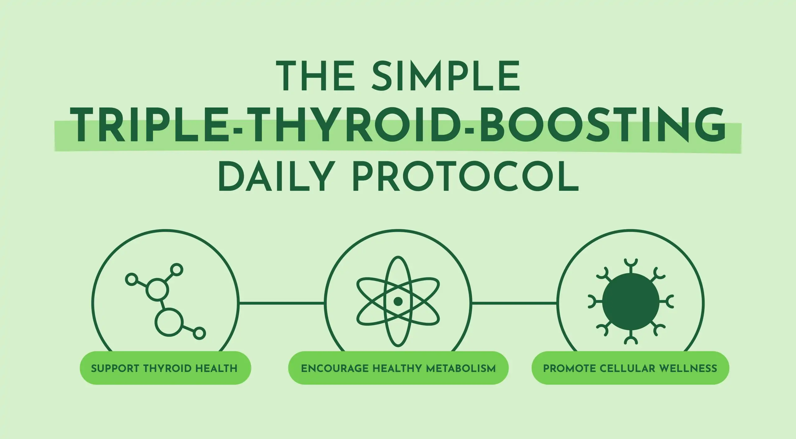3-Food-Thyroid-Protocol-2026 3 Food Thyroid Protocol