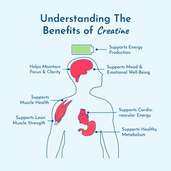 8 thyroid benefits of creatine