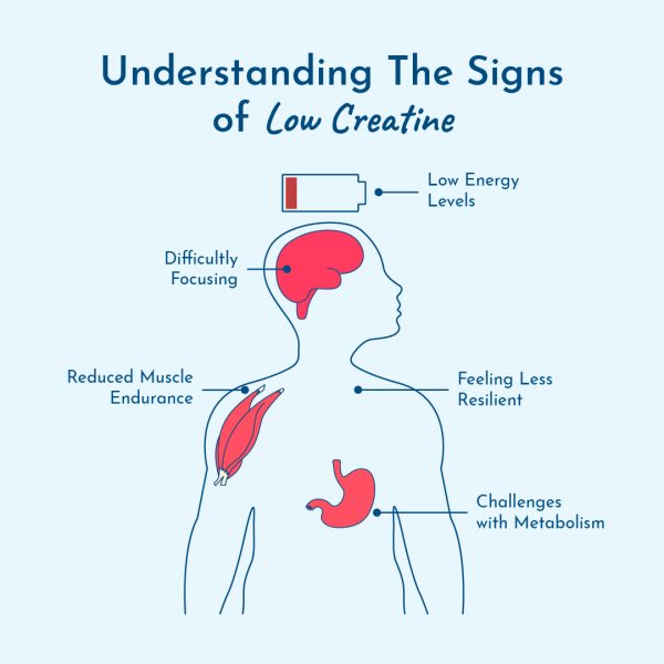 Symptoms of low creatine levels and thyroid
