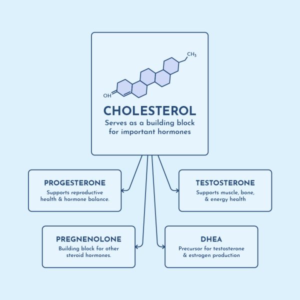 LDL cholesterol and hormones
