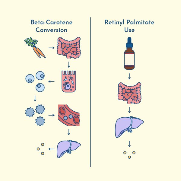 retinyl palmitate