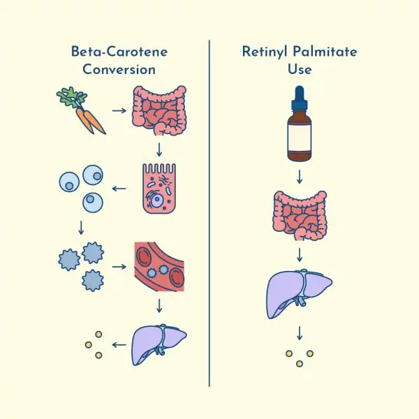retinyl palmitate