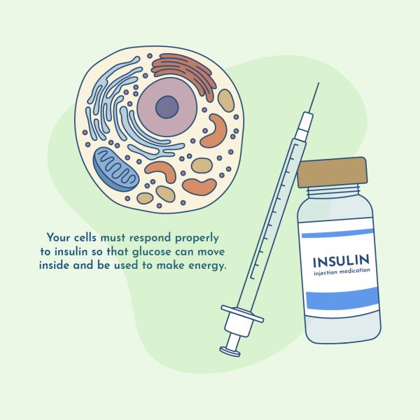 insulin resistance thyroid