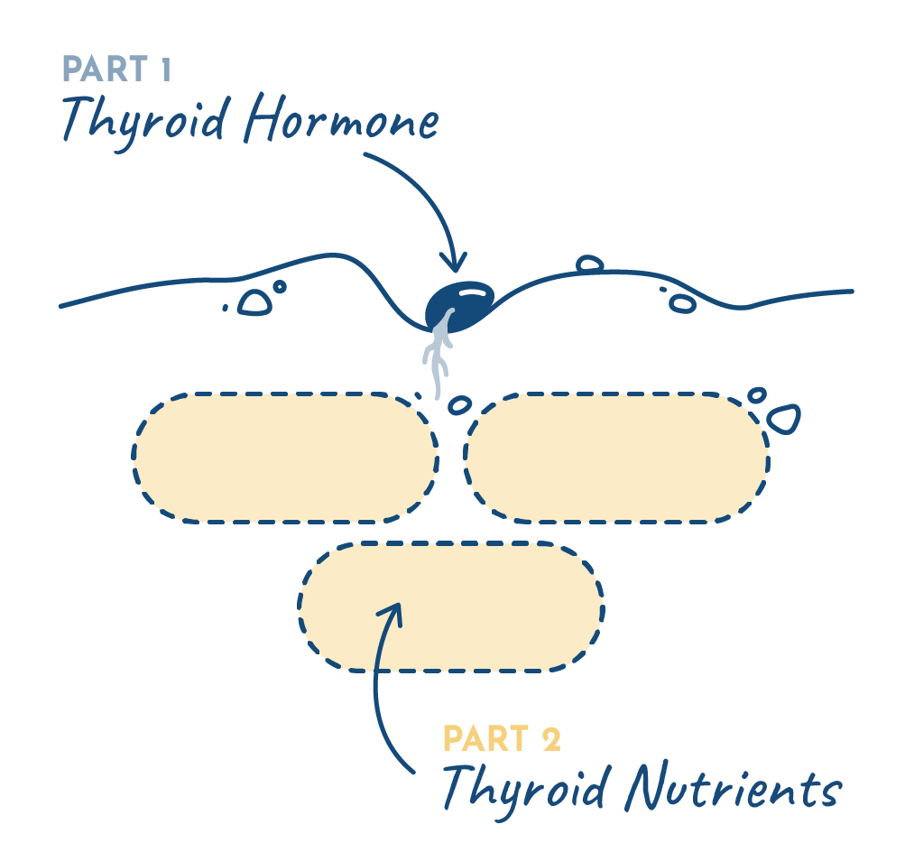 2-part-problem-seed