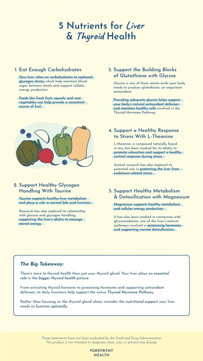 Five nutrients discussed for liver and thyroid health