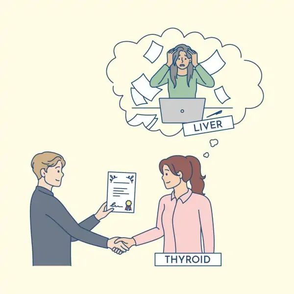 liver and thyroid connection; liver’s role in thyroid health